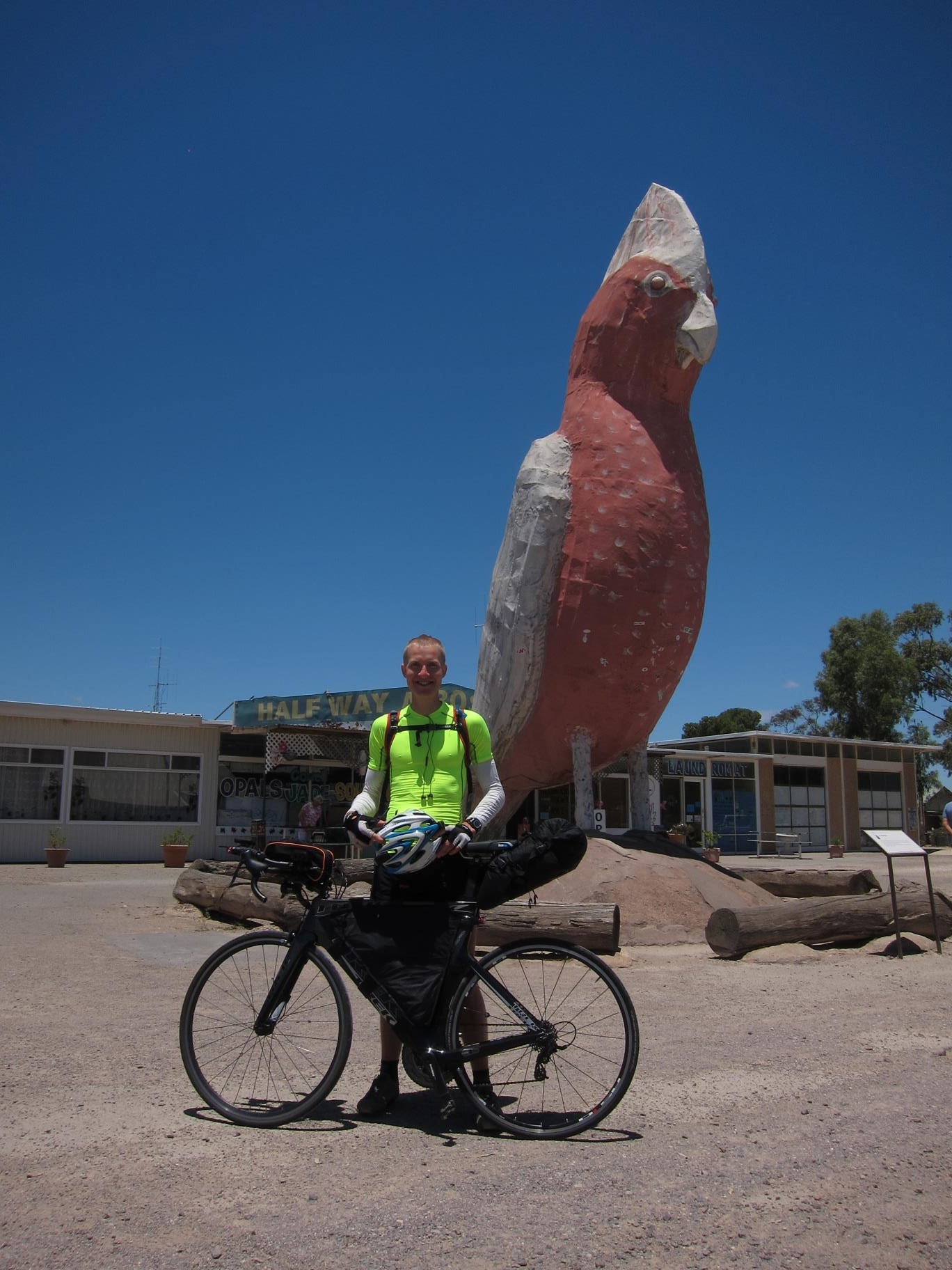 The 'Big Galah' in Kimba. Australians seem fond of building giant animals of papier-m�ch� near petrol stations.